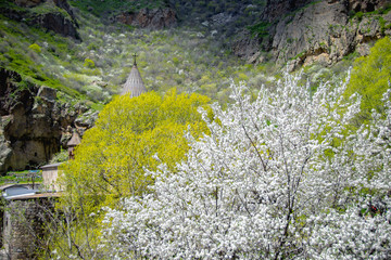 Conic roof chirch in  Geghard monastery among blossom trees