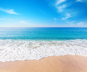 beach and tropical sea