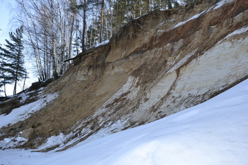 Лес, обрыв и деревья © flamel123