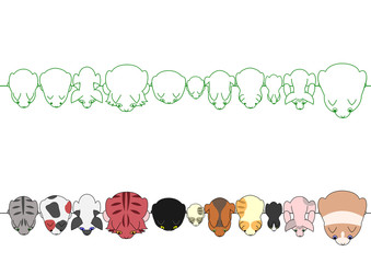 set of cats looking down in a raw