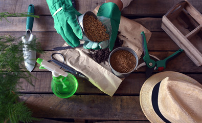 gardener doing gardening work