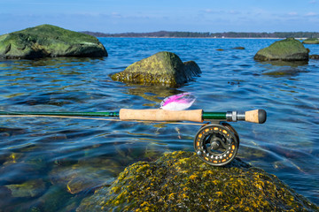 Sea fly fishing in spring season