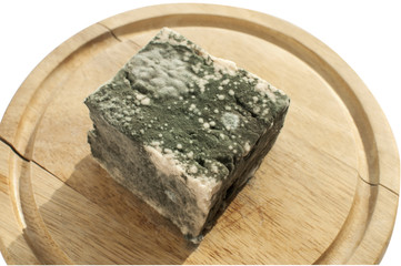 Moldy lump of white cheese on wooden tray isolated on white background