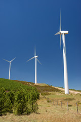 Fototapeta premium Wind energy
