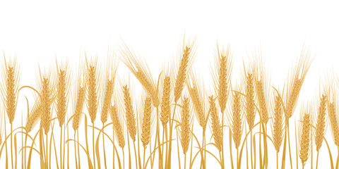 Ears of wheat horizontal border seamless pattern