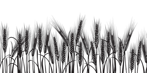 Ears of wheat black horizontal seamless pattern