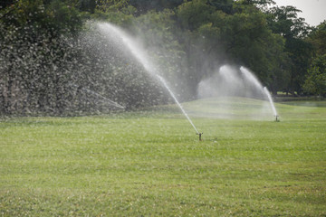 watering in green grass field