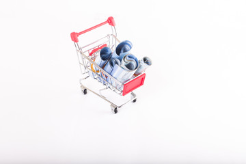 sjopping trolley bring money with white background