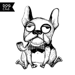 Vector funny dogs characters