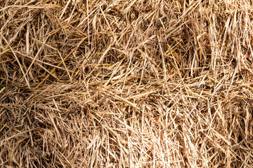 Closeup of the chaff