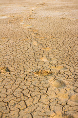 Footsteps on dry cracked land.