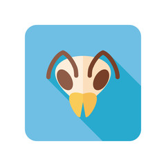 Bee flat icon. Animal head vector symbol