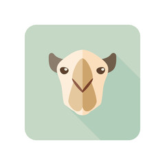 Camel flat icon. Animal head vector symbol