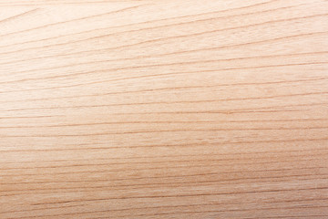 wood texture background