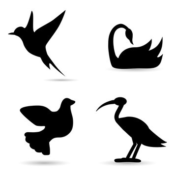 Birds vector icon set.