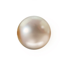 Single cream pearl isolated on white background