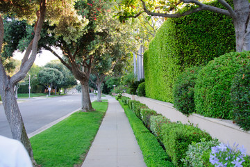 Sidewalk on beverly hillls in California