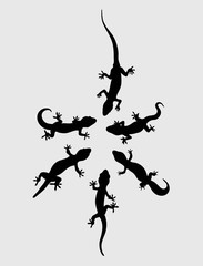 Obraz premium Lizard Silhouette, art vector design