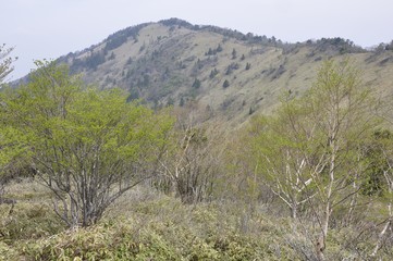賽ノ河原より大菩薩嶺