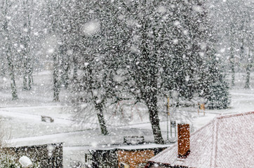 Atak wielkiej zimy © artur0372