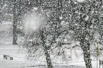 Atak wielkiej zimy © artur0372