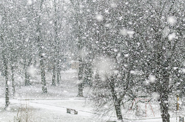 Atak wielkiej zimy © artur0372