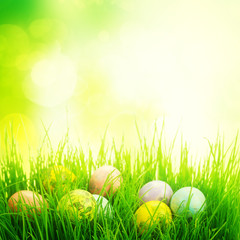 Easter eggs in grass 