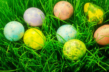 Fototapeta na wymiar Easter eggs in grass 