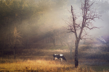 Autumn pastoral scene