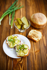 Vegetarian sandwich with cheese, pickles and herbs 