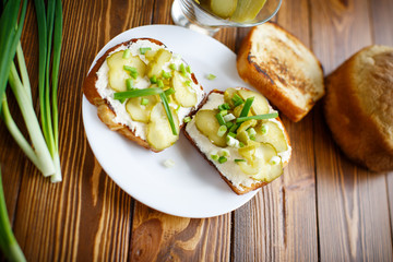 Vegetarian sandwich with cheese, pickles and herbs 