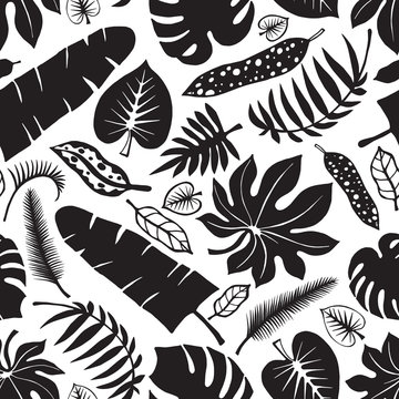 Tropical leaves,branches seamless pattern.Black