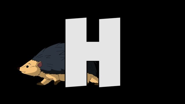 Letter H and Hedgehog (background)
Animated animal alphabet. HD footage with alpha channel. Animal in a background of letter.