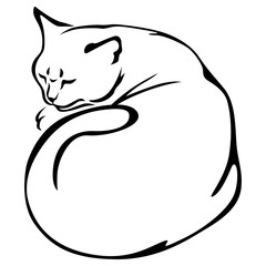 Contour of slip cat