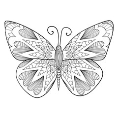 Detailed ornamental sketch of a moth