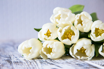 Fototapeta na wymiar Fresh white tulips on light background. Selective focus