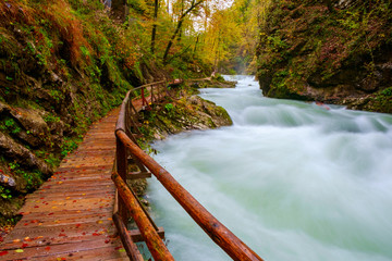 Obraz premium Cudowna rzeka Vintgar w kanionie i piękne kolory