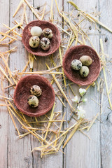 Easter background with eggs and nests