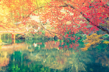 Daigo-ji temple  in autumn, Kyoto, Japan ( Filtered image proces