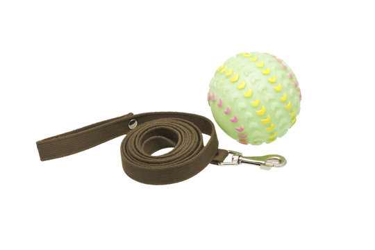 Dog leash and toys.