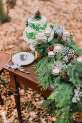 Vintage table with cake and candles. Spruce branches decorations