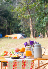 picnic, view of picnic table with fruits, juice and vegetable at the camping area