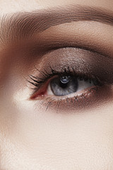 Beautiful macro shot of female eye with classic makeup. Perfect shape of eyebrows, eyeliner and brown eyeshadows on eyelid. Cosmetics and make-up. Closeup macro shot of fashion smoky eye visage