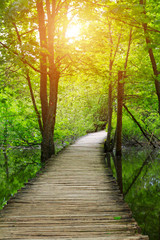 Wood path in the Plitvice national park