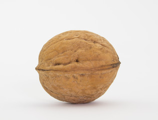 Walnut isolated on white