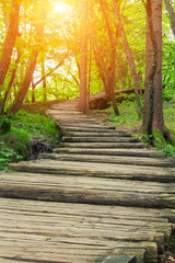 Wood path in the Plitvice national park