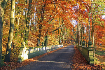 Obraz na płótnie Canvas Malerischer Herbst im Park (Werra-Meißner-Kreis, Hessen)