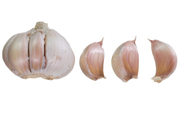 Garlic on white background