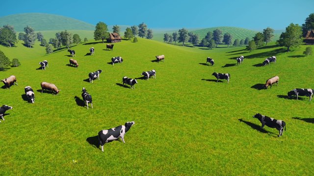 Herd of cows graze on the green meadows nearby from the rustic house at spring day. Aerial view, sliding forward shot. Realistic 3D animation.