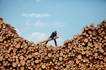 business vision - hardworking businessman on top of large pile of cut wooden logs